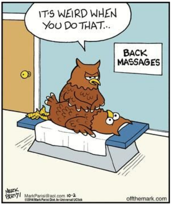 Cartoon