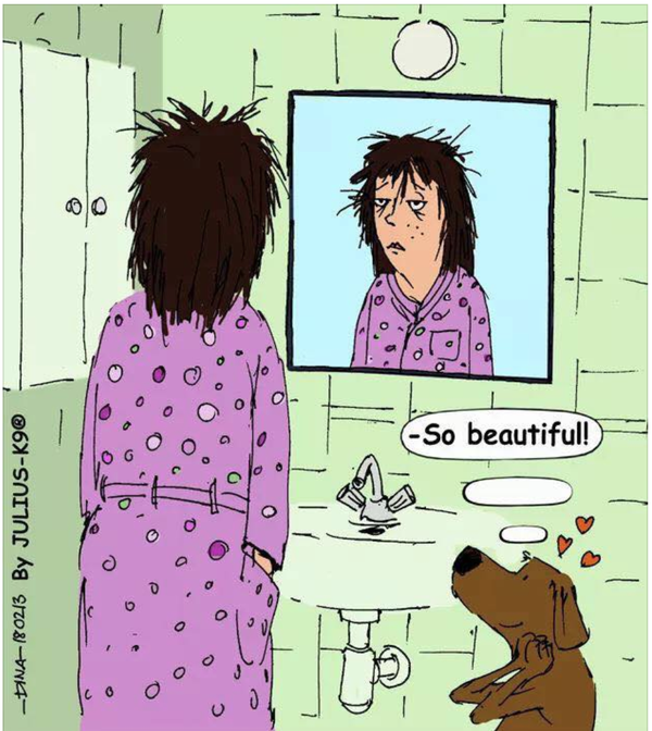 Cartoon
