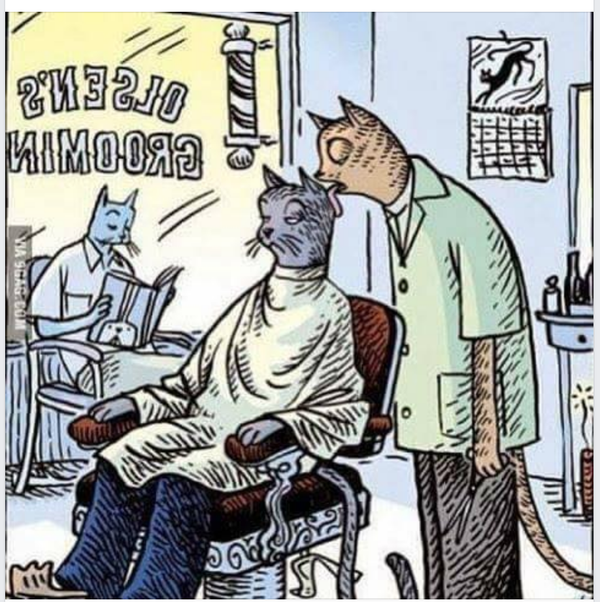 Cartoon