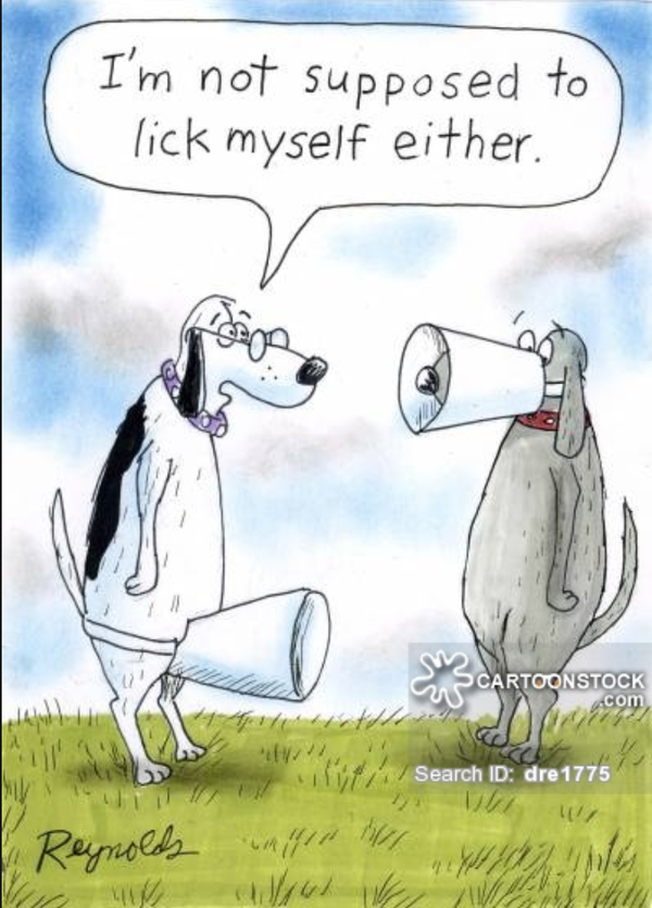 Cartoon!
