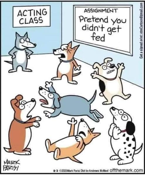 Cartoon