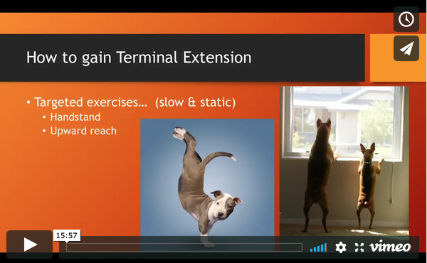 Terminal Extension