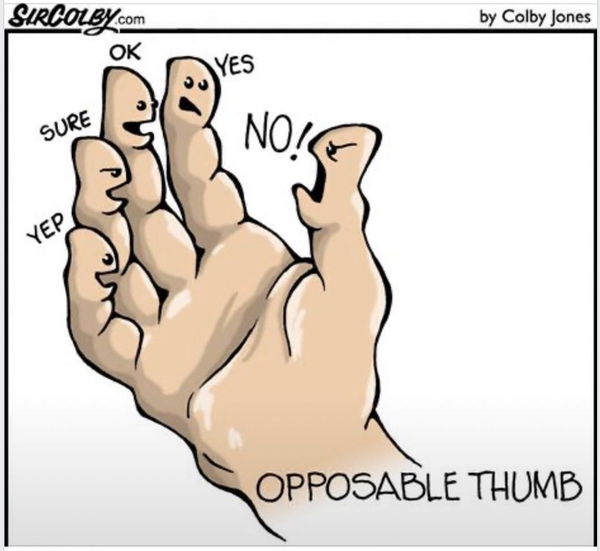 Cartoon
