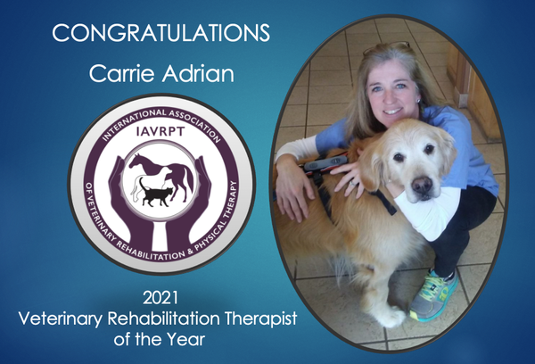 Veterinary Rehabilitation Therapist of the Year Award