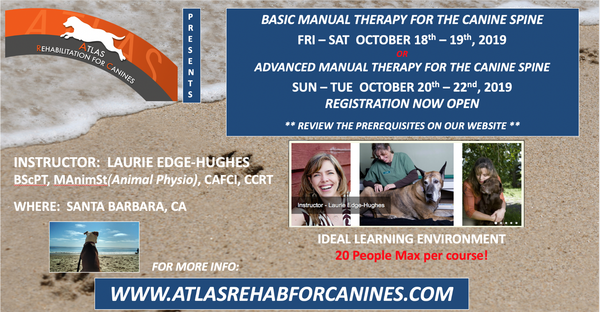Spinal Manual Therapy