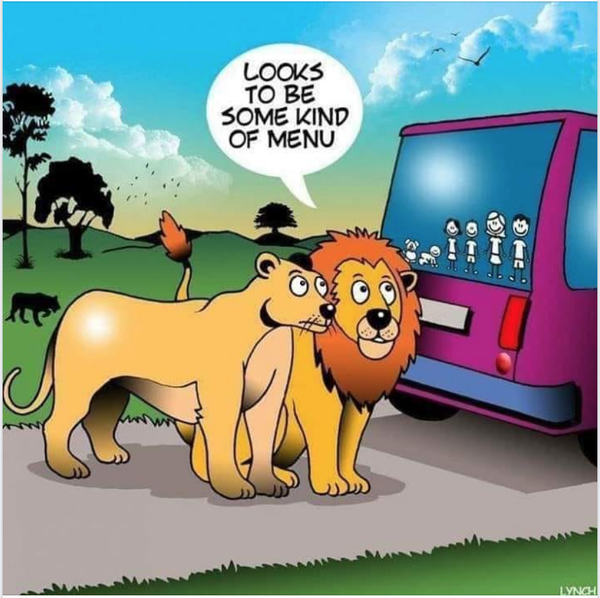 Cartoon