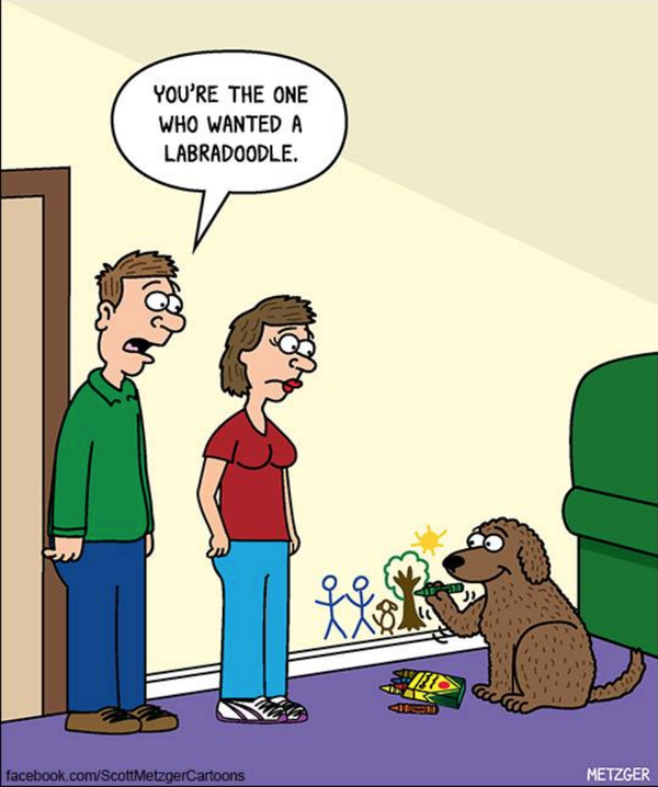 Cartoon!