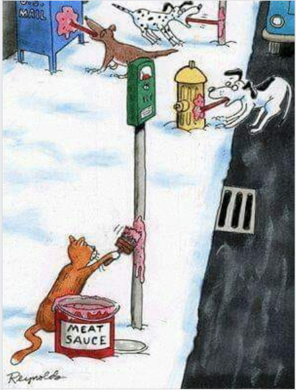 Cartoon