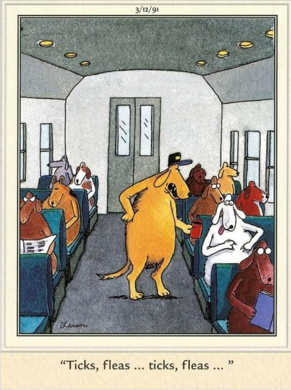 Cartoon