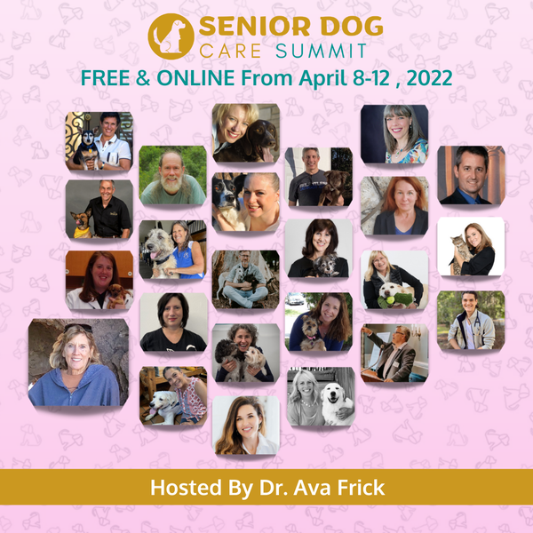 Senior Dog Care Summit