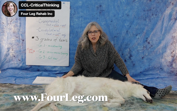 CCL Critical Thinking