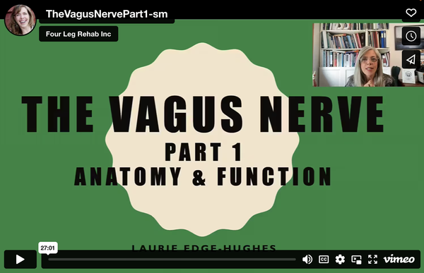 The Vagus Nerve Part 1