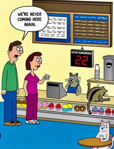 Cartoon