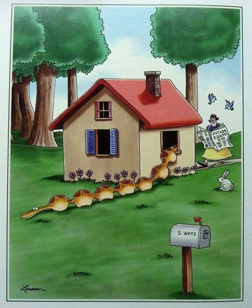 Cartoon