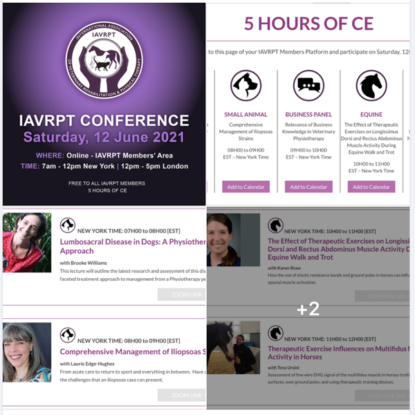 IAVRPT Virtual Conference