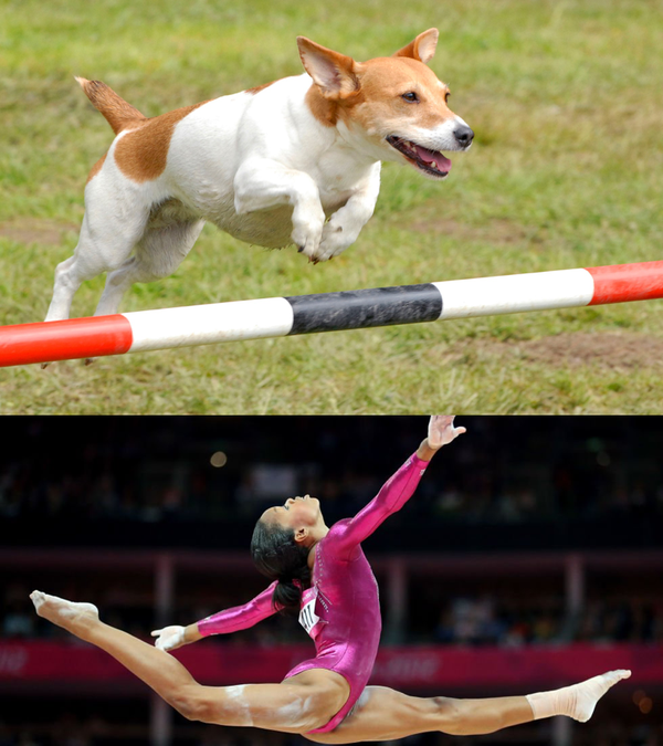 ATHLETES return to sport