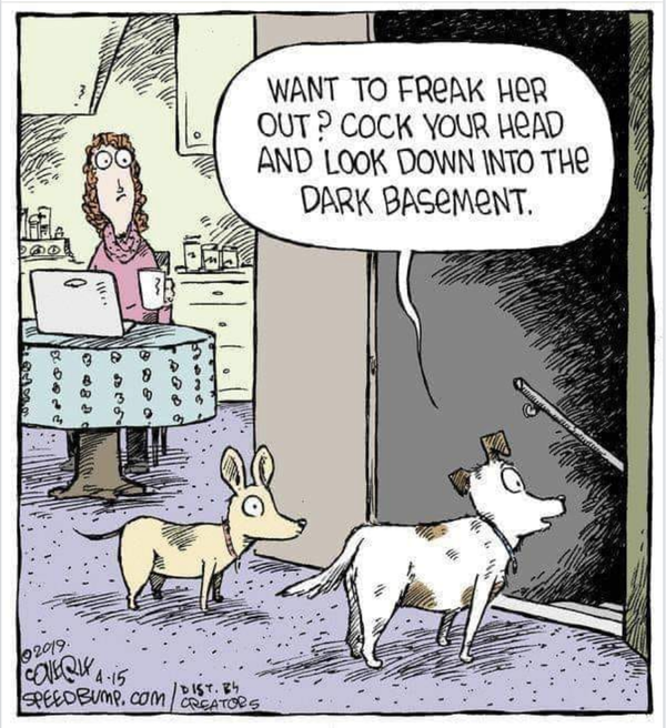 Cartoon!