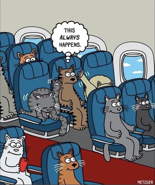 Cartoon