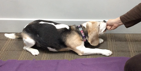 The Pelvic Tilt