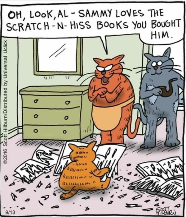 Cartoon