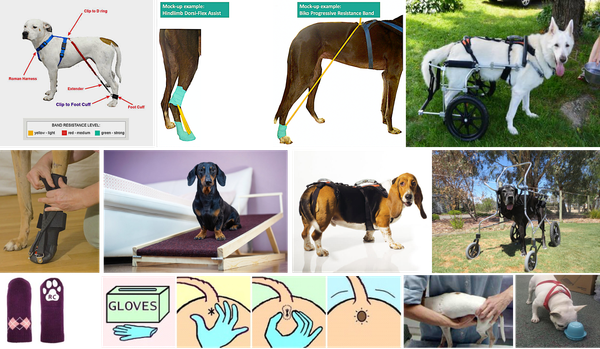Neuro Dog Tips