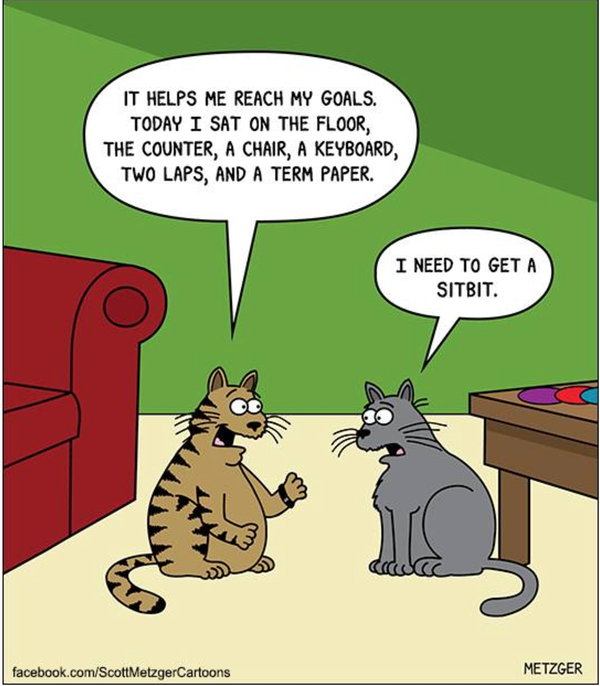 Cartoon