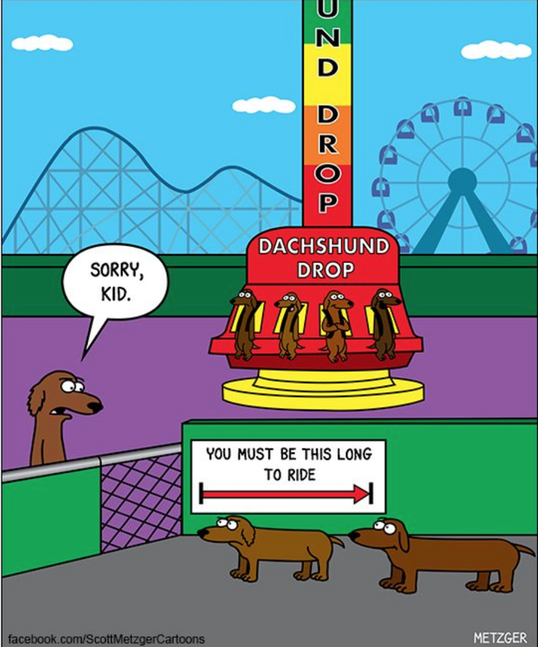 Cartoon