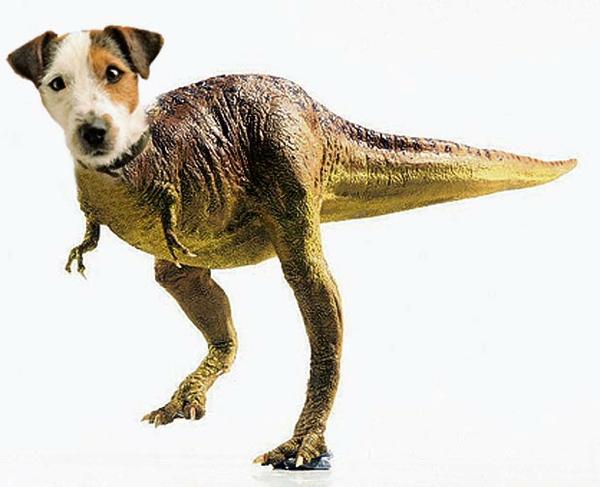 T-Rex