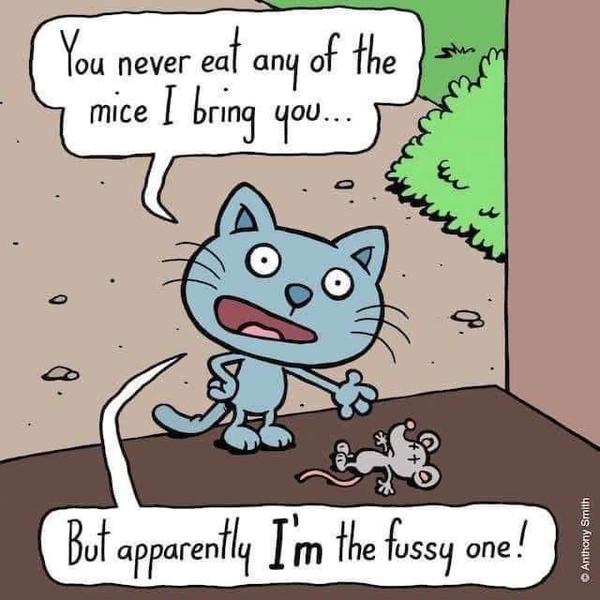 Cartoon