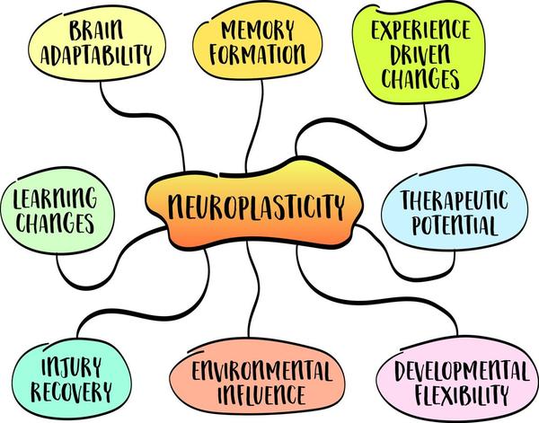 Heat Tilt & Neuroplasticity