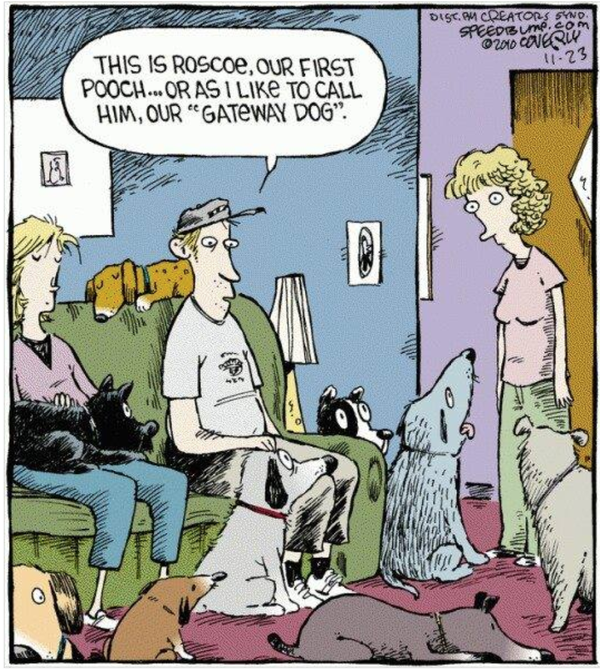 Cartoon!