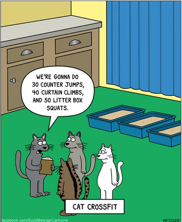 Cartoon