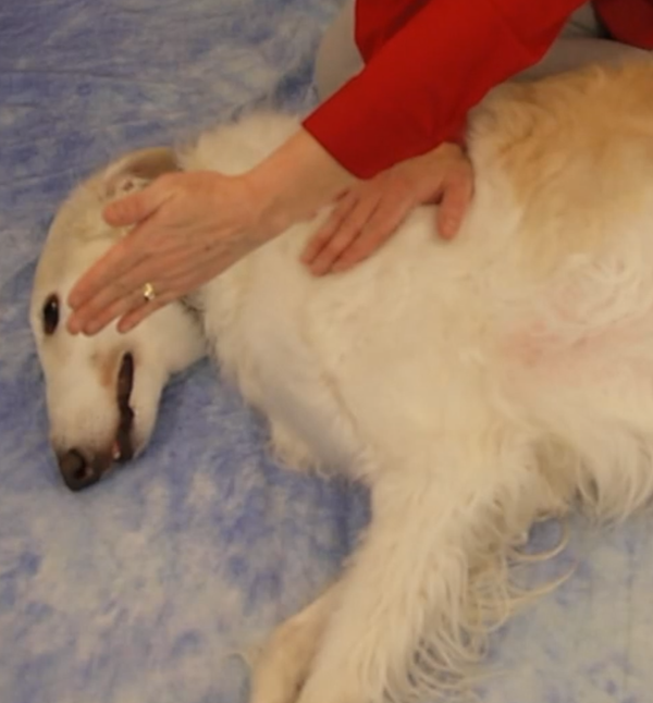 MSI Manual Therapy- Part 3