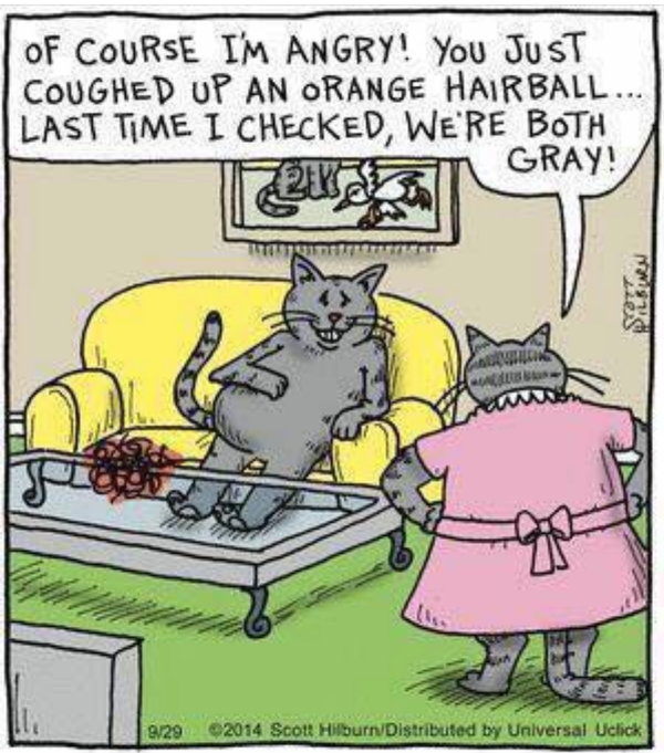 Cartoon!