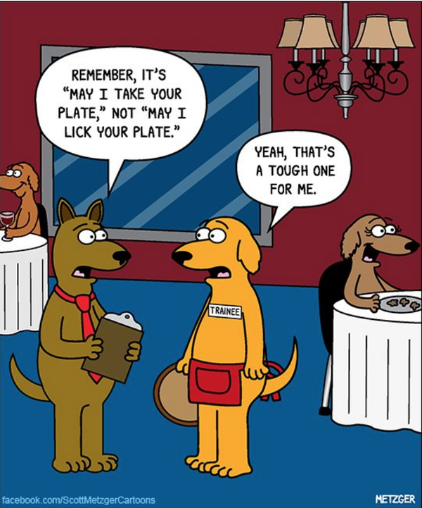 Cartoon