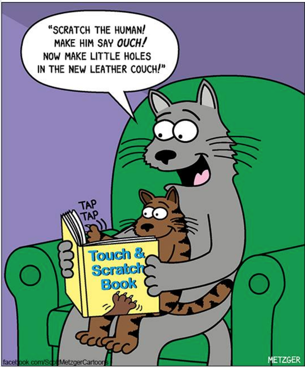 Cartoon!