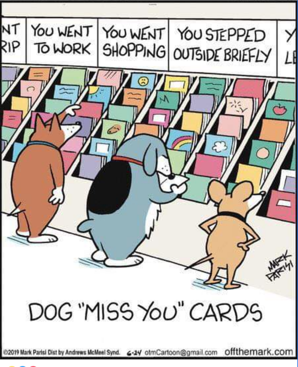 Cartoon
