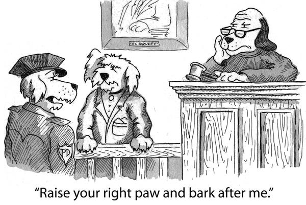 Cartoon!
