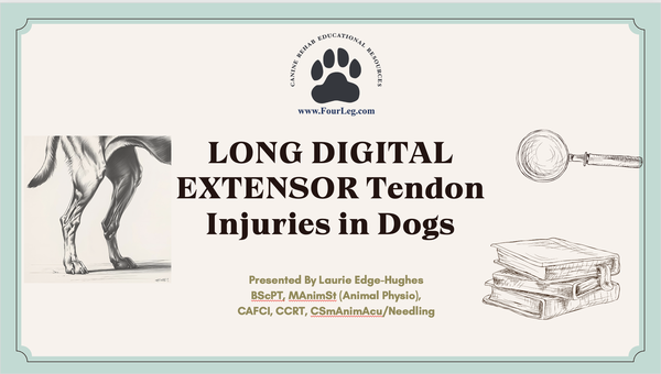 LDE Tendon Injuries Title Slide