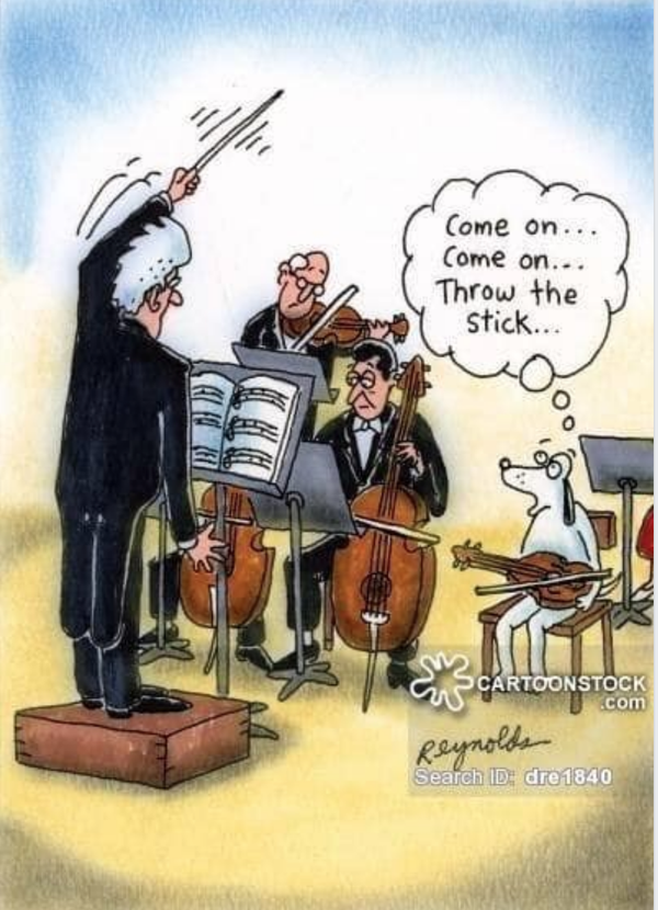 Cartoon