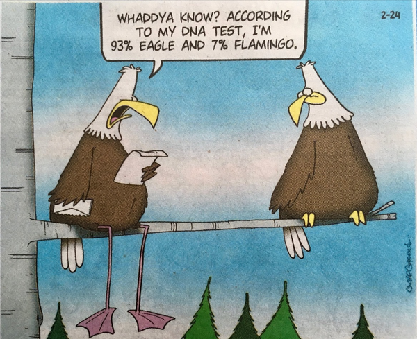 Cartoon