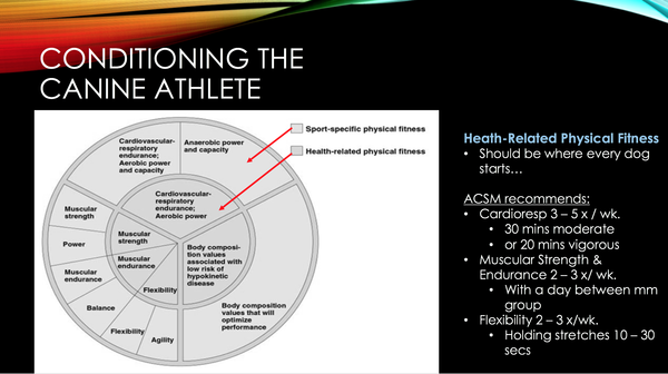 Conditioning the Canine Athlete part 1