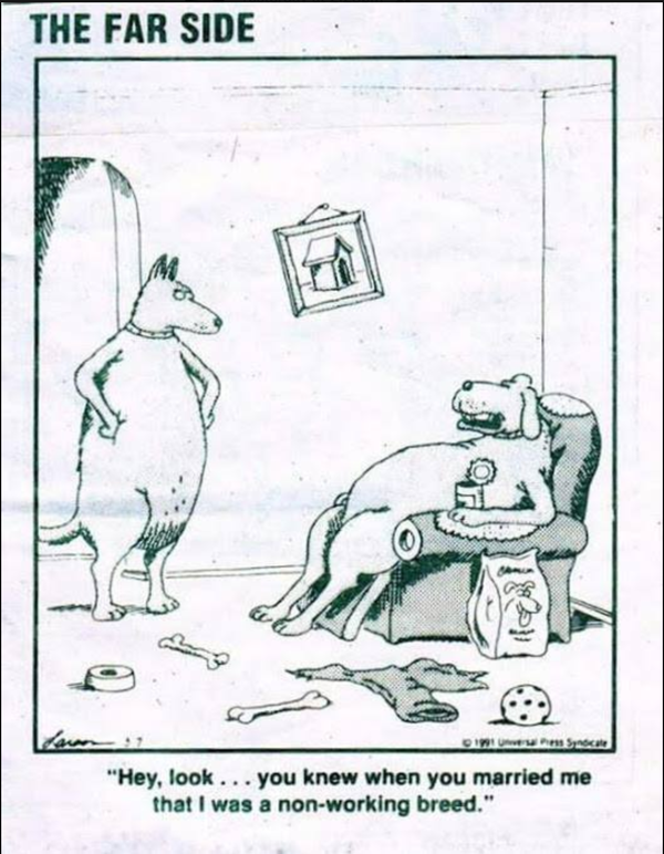 Cartoon!