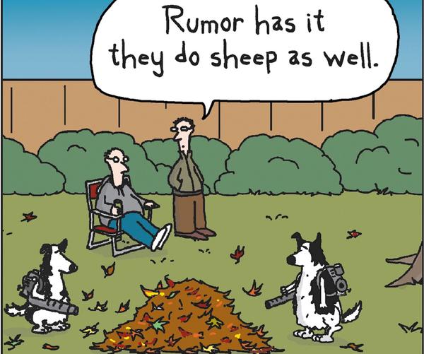 Cartoon
