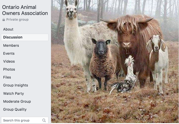 Ontario Animal Owners Association