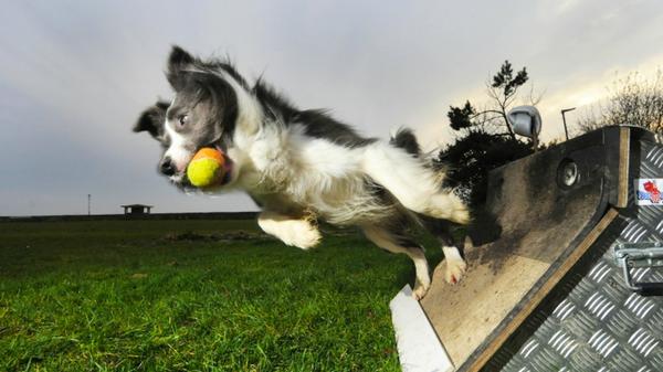 Return to Sport Testing
