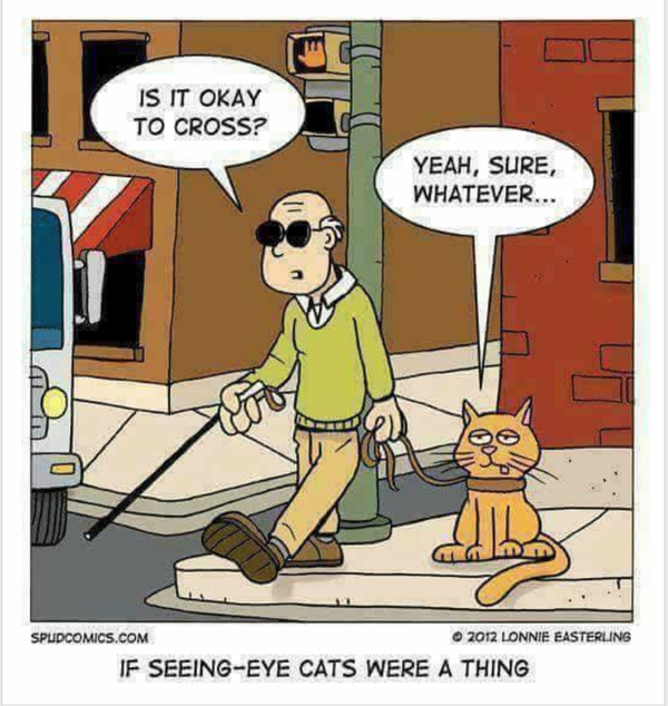 Cartoon