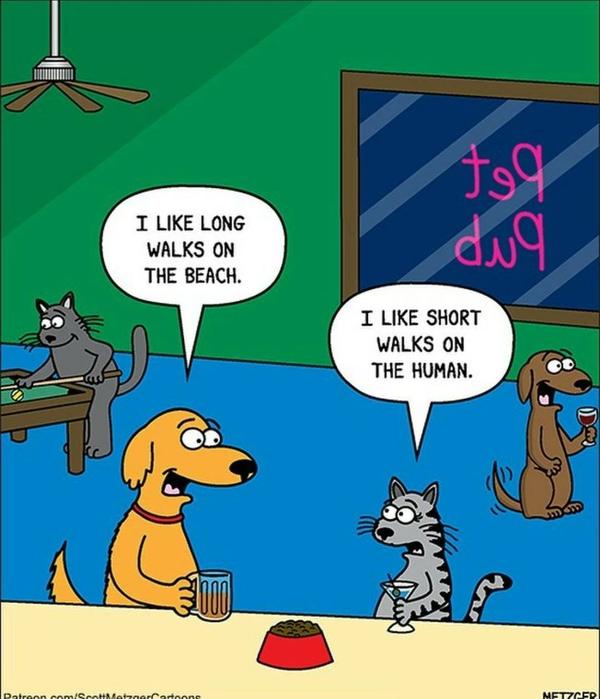 Cartoon
