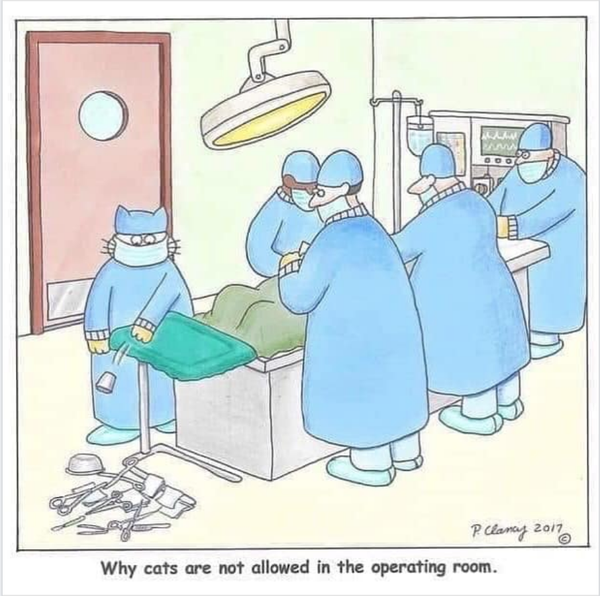 Cartoon