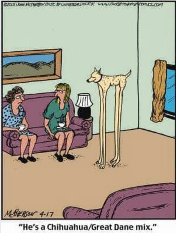 Cartoon!